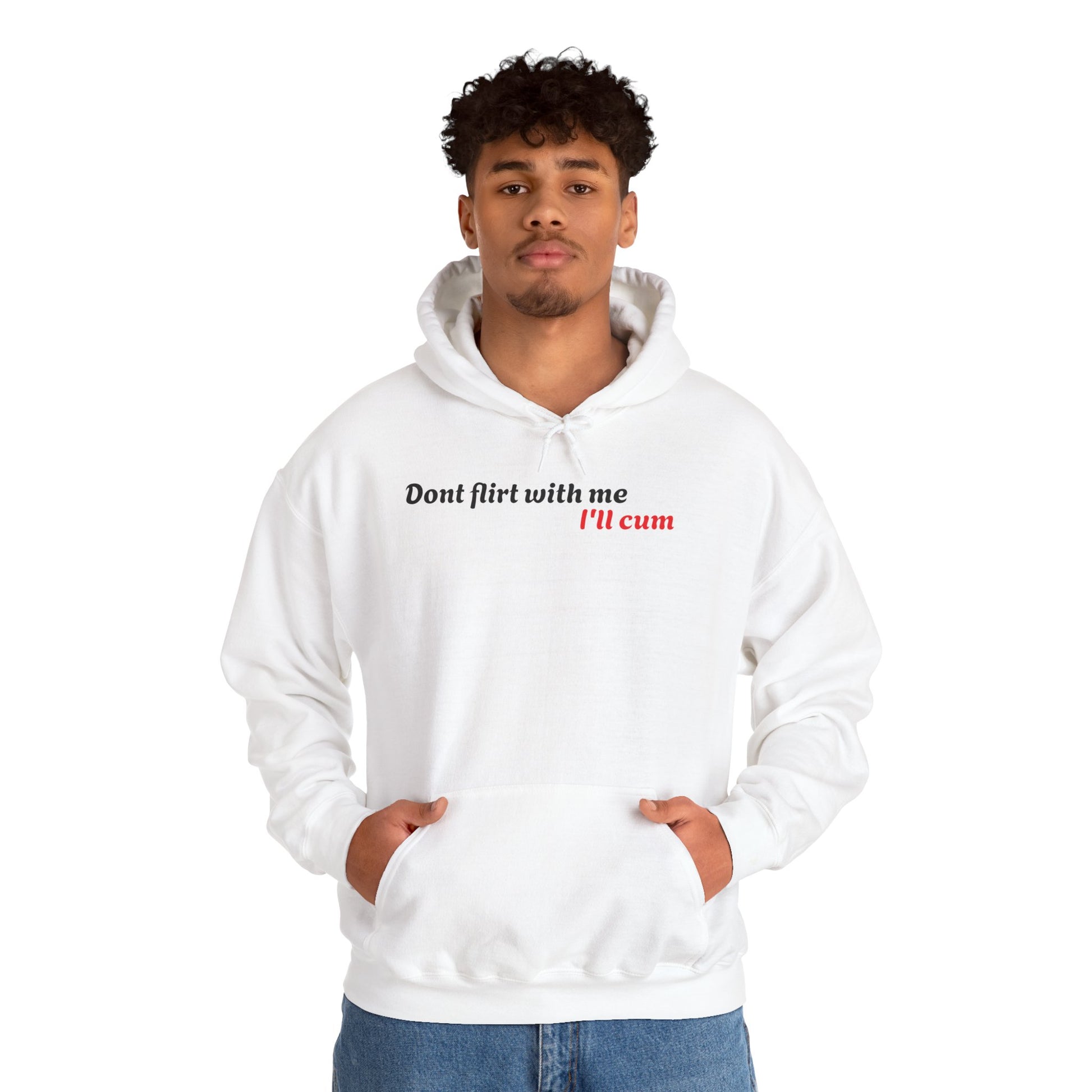 Dont Flirt, I'll Cum Hoodie