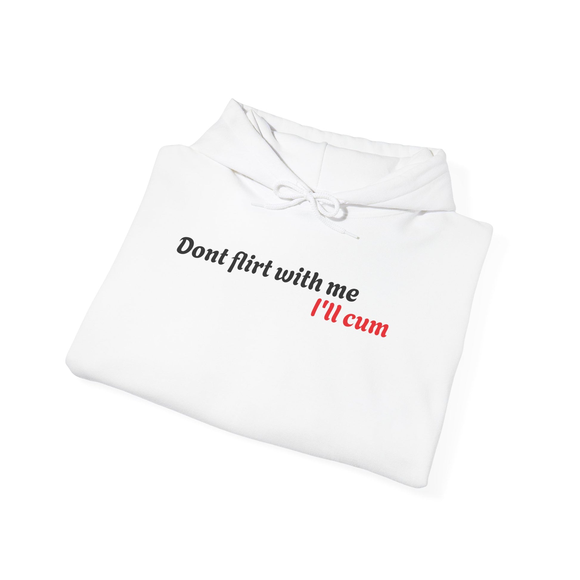 Dont Flirt, I'll Cum Hoodie