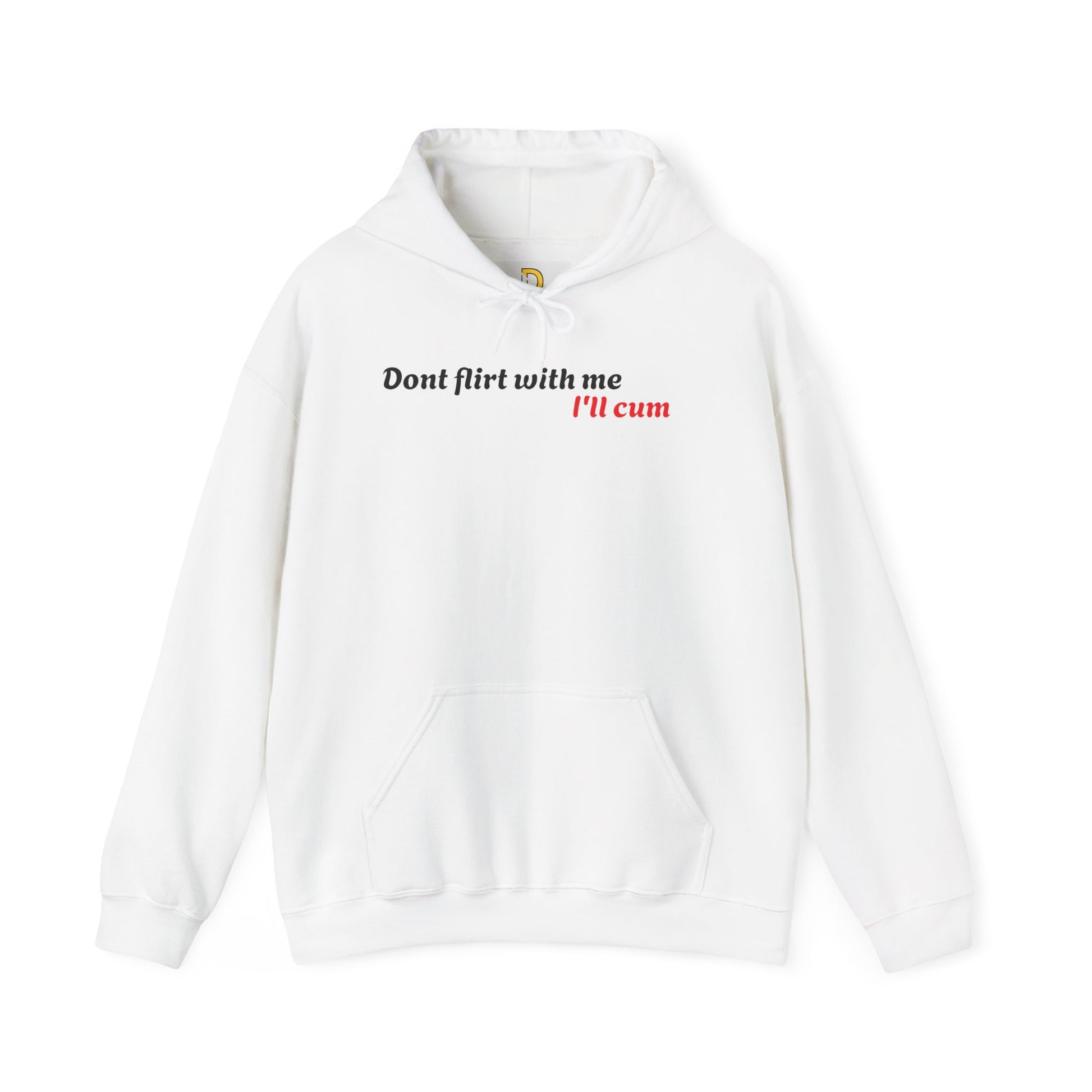 Dont Flirt, I'll Cum Hoodie
