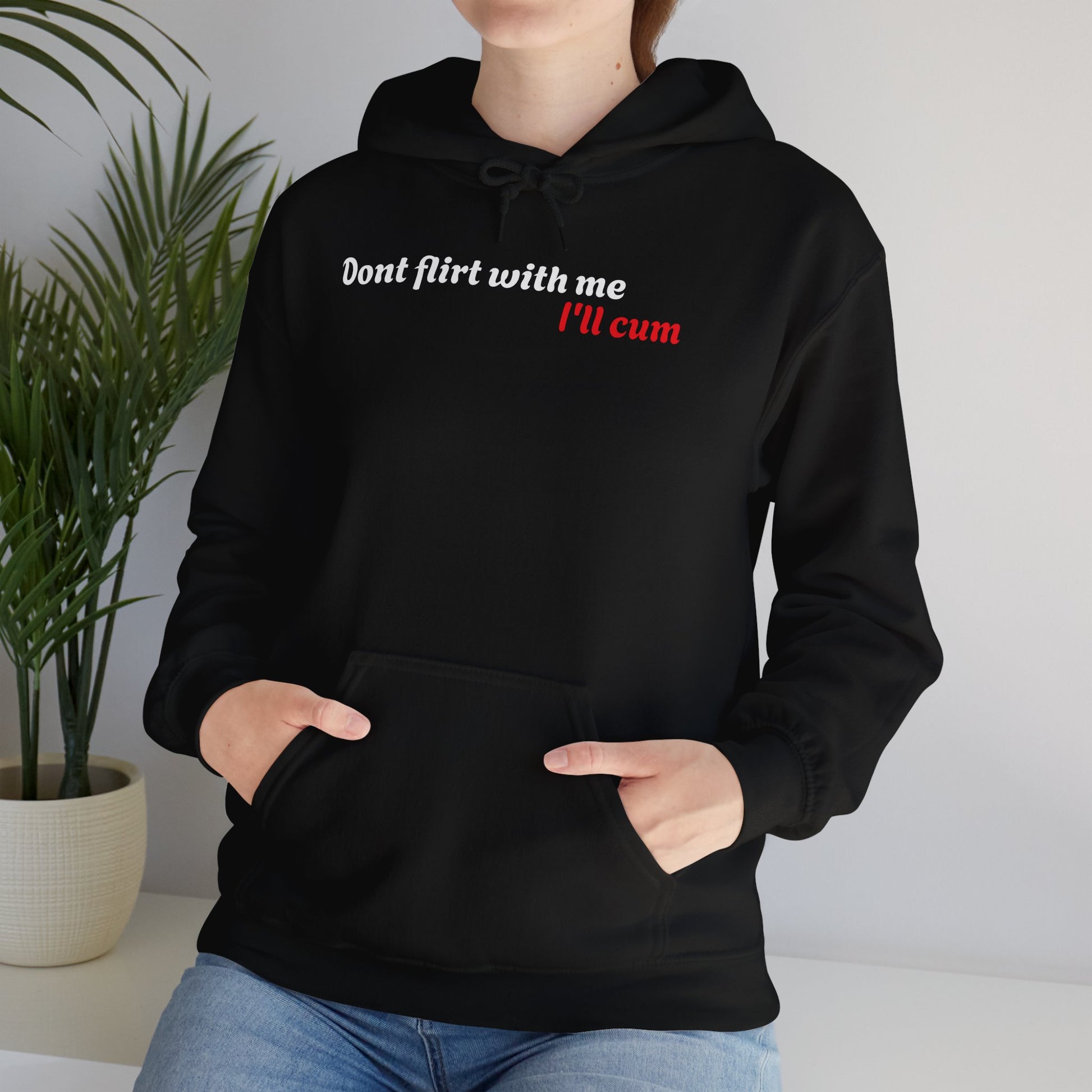 Dont Flirt, I'll Cum Hoodie