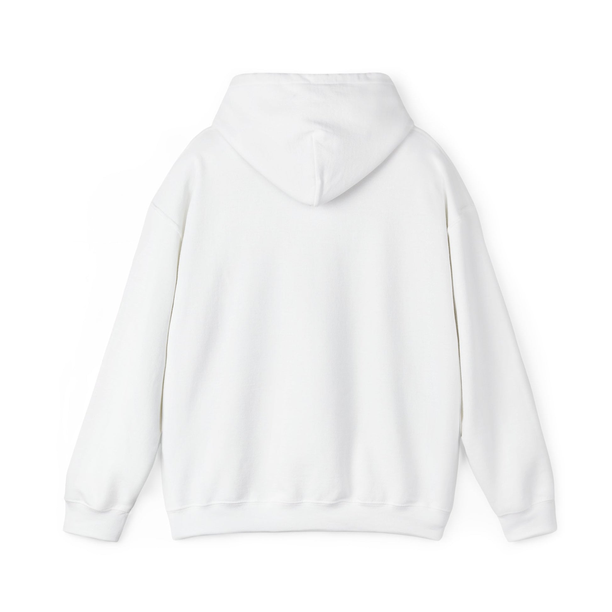 Dont Flirt, I'll Cum Hoodie