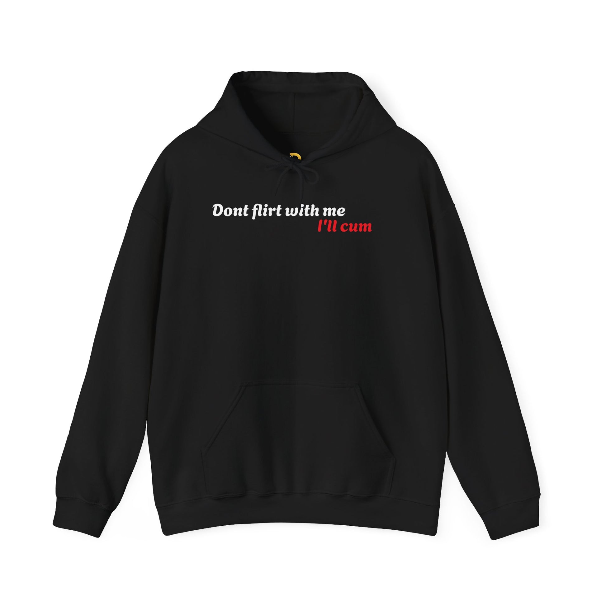 Dont Flirt, I'll Cum Hoodie