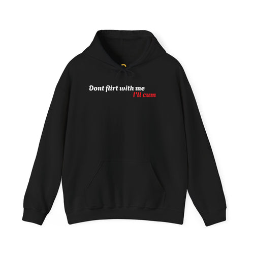 Dont Flirt, I'll Cum Hoodie