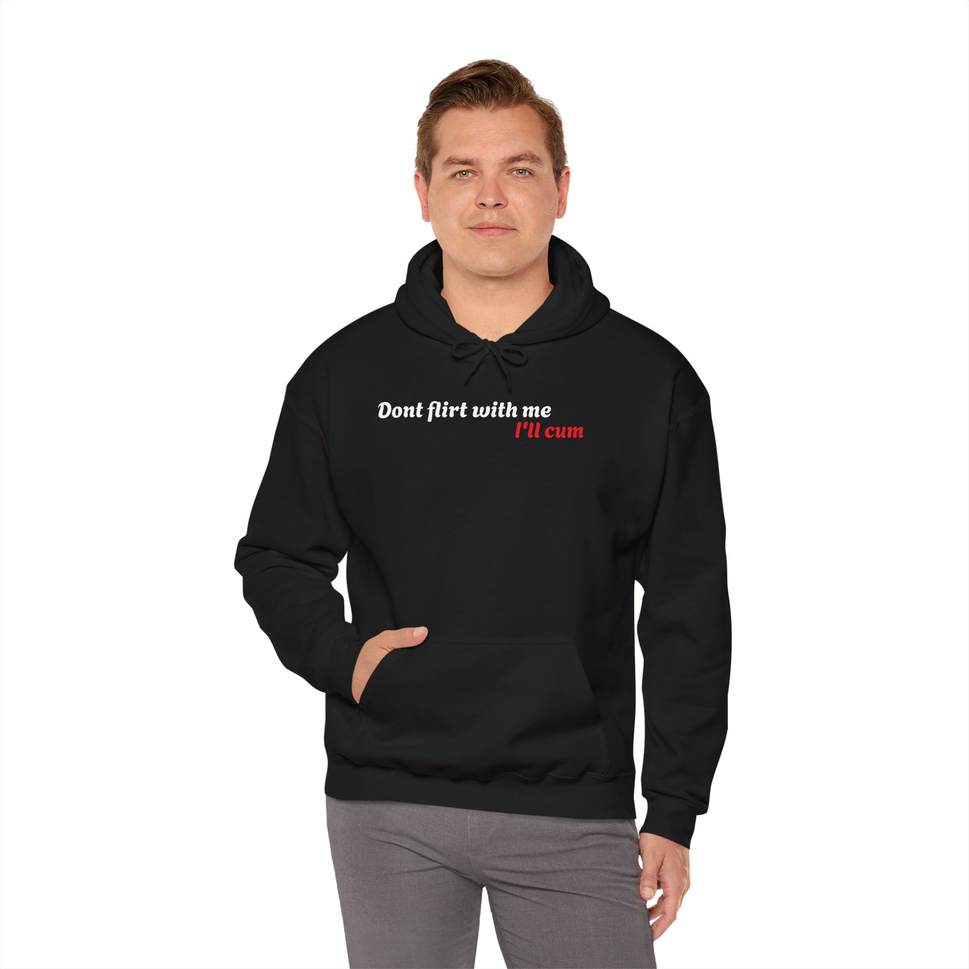 Dont Flirt, I'll Cum Hoodie