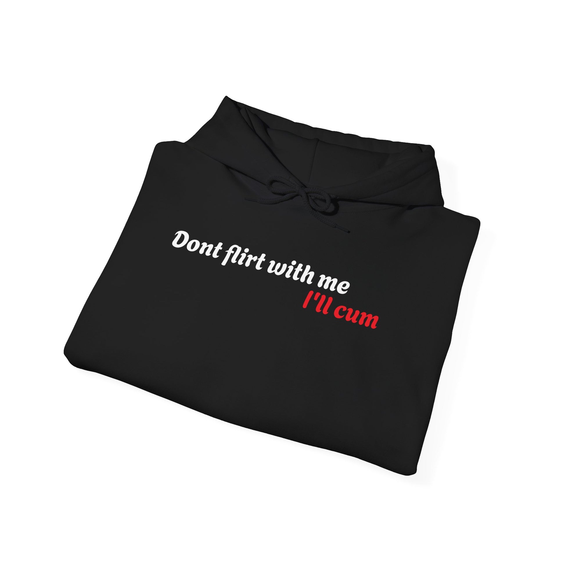 Dont Flirt, I'll Cum Hoodie