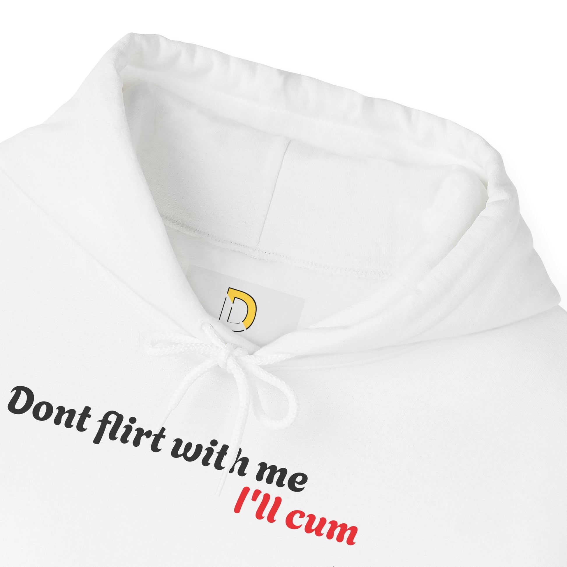 Dont Flirt, I'll Cum Hoodie