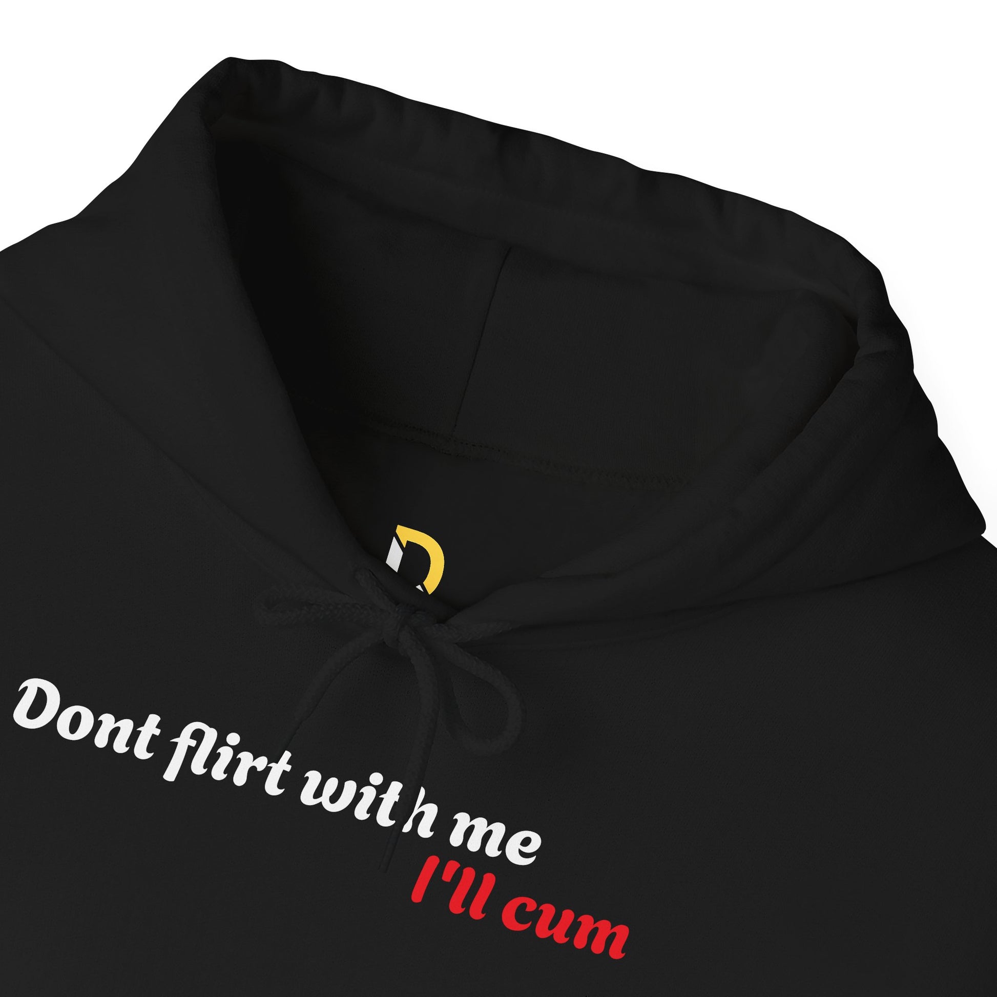 Dont Flirt, I'll Cum Hoodie