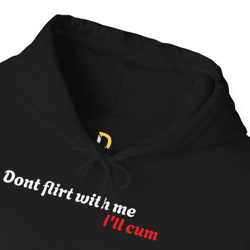 Dont Flirt, I'll Cum Hoodie