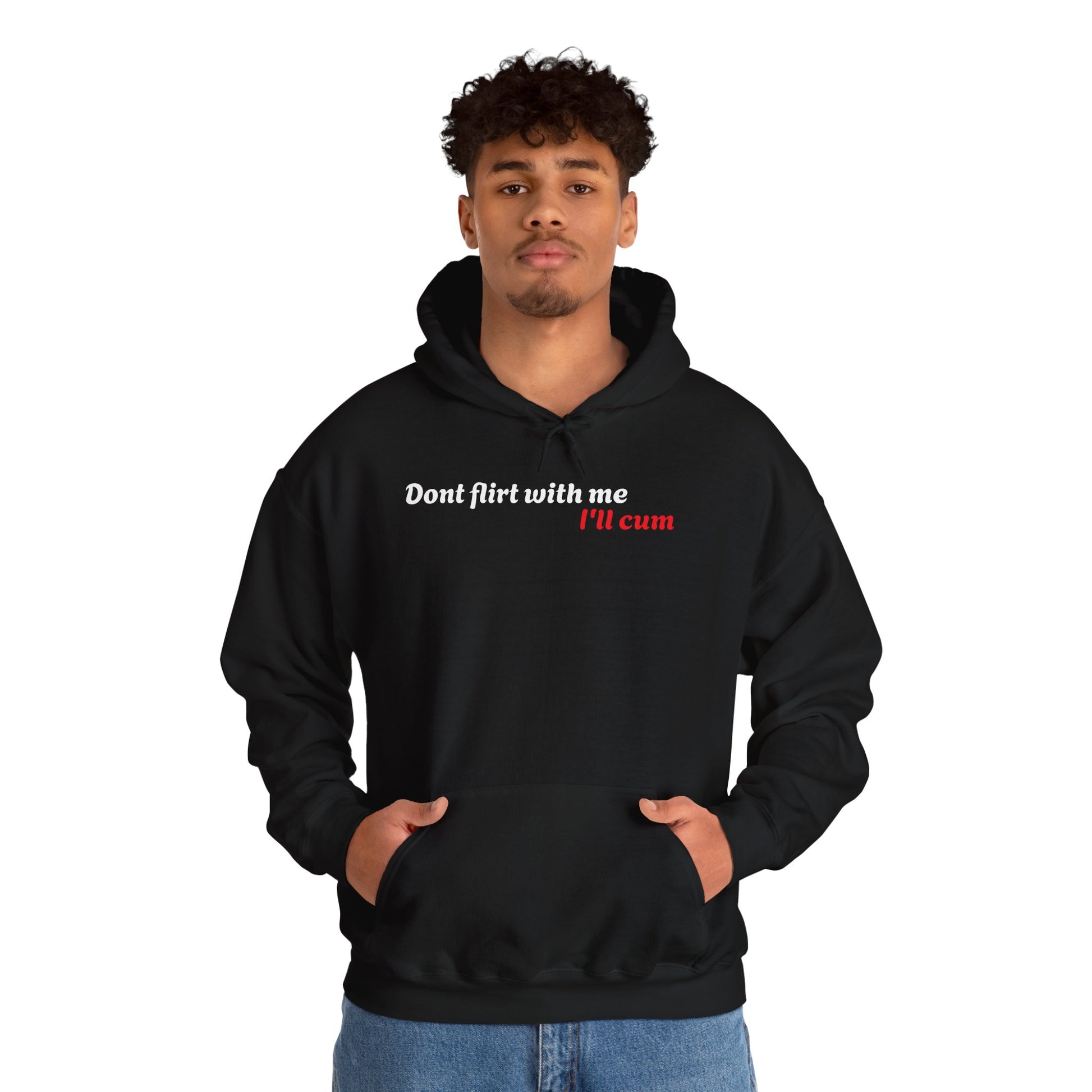 Dont Flirt, I'll Cum Hoodie