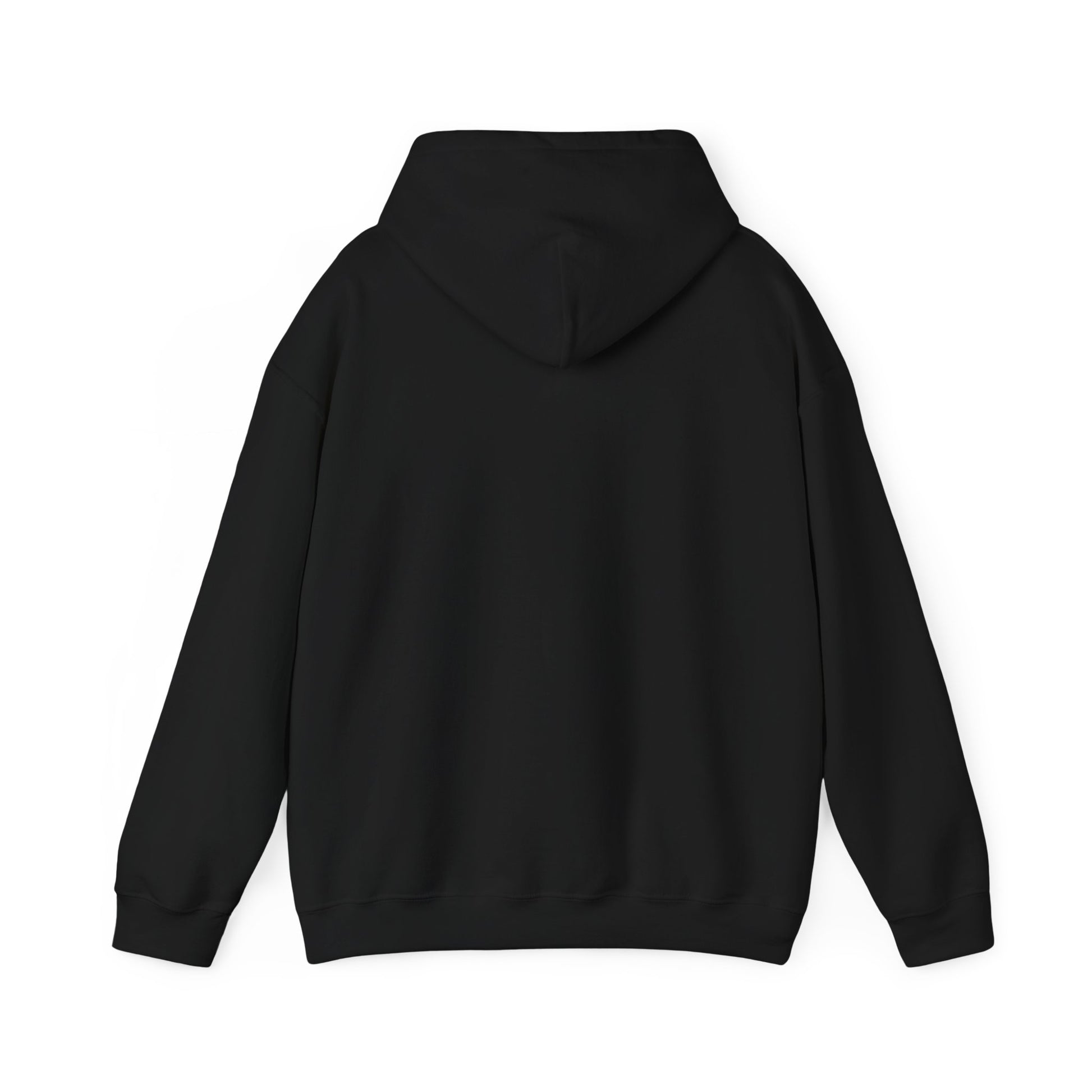 Dont Flirt, I'll Cum Hoodie