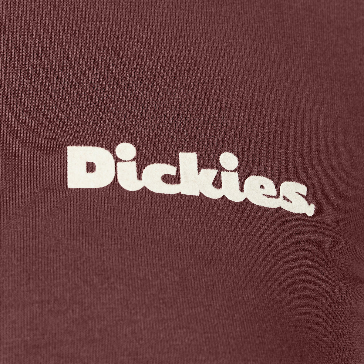 Dickies Great Value | Women's Slayden Ringer Tee