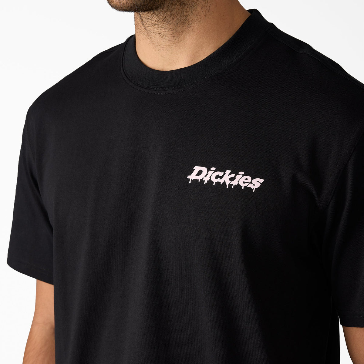 Dickies Value | Statesville Graphic T-Shirt