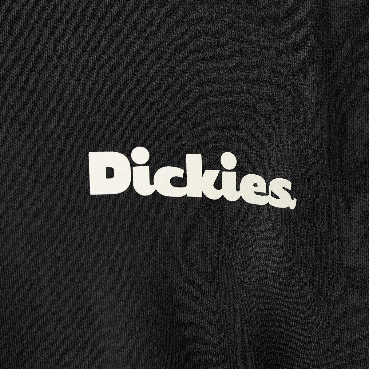 Dickies Great Value | Slayden Garment Dyed T-Shirt
