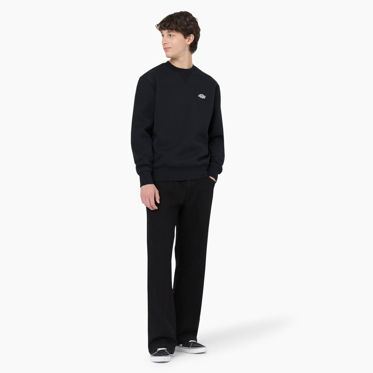 Dickies Discount | Skateboarding Wingville Loose Fit Jeans