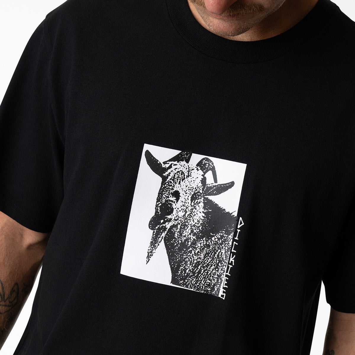 Dickies Trending | Mike Anderson Graphic T-Shirt