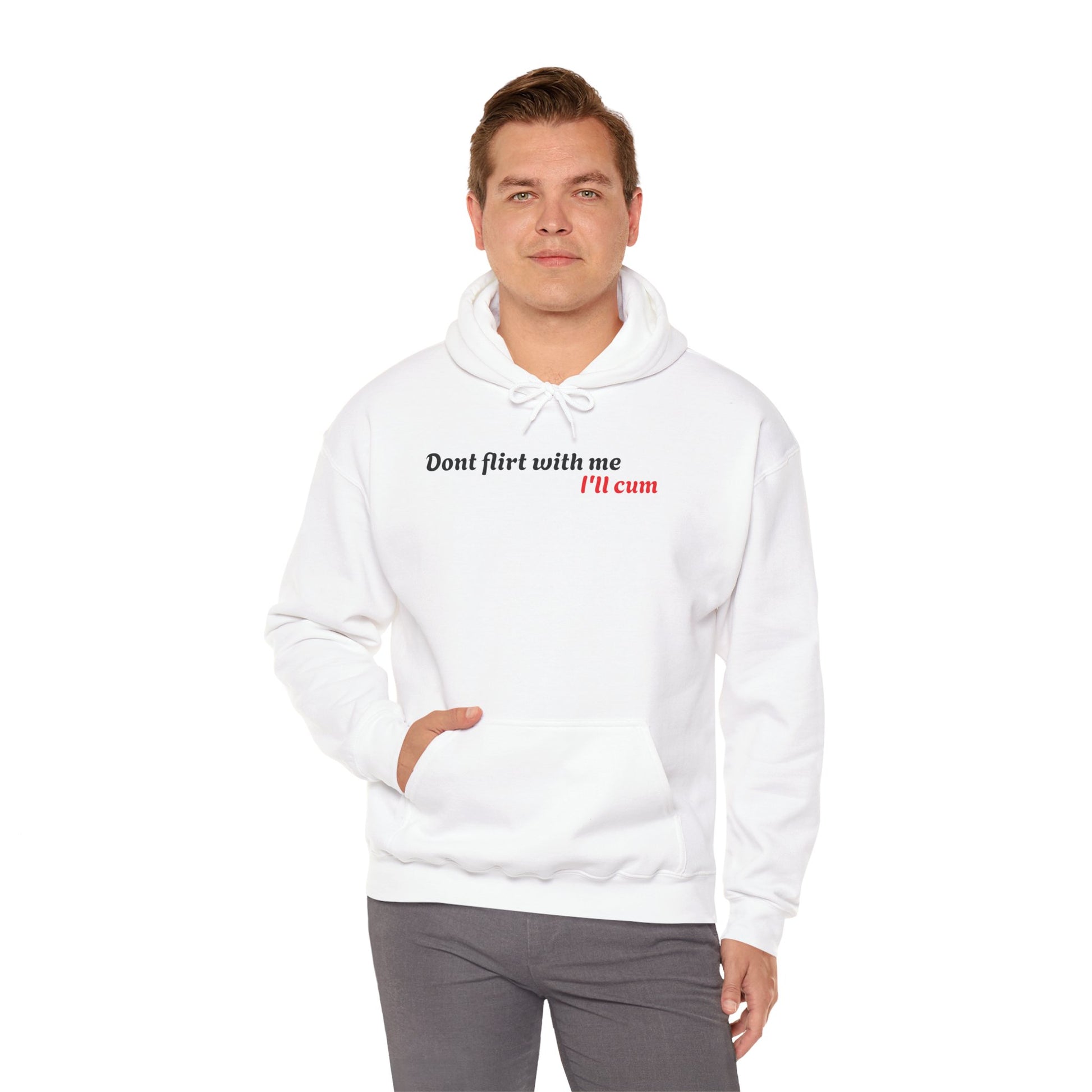 Dont Flirt, I'll Cum Hoodie